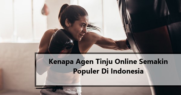 Kenapa Agen Tinju Online Semakin Populer Di Indonesia