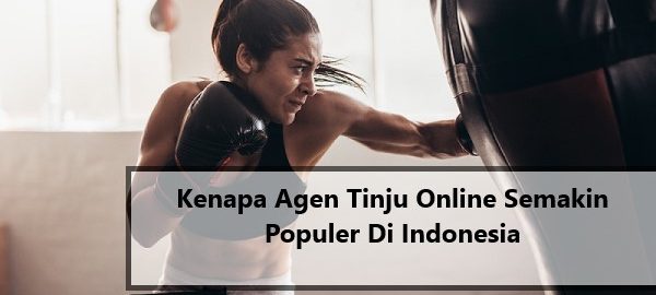 Kenapa Agen Tinju Online Semakin Populer Di Indonesia